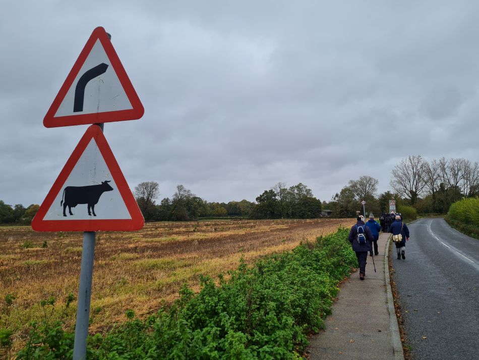 2023-11-08 03 Ditchingham and Broome.jpg