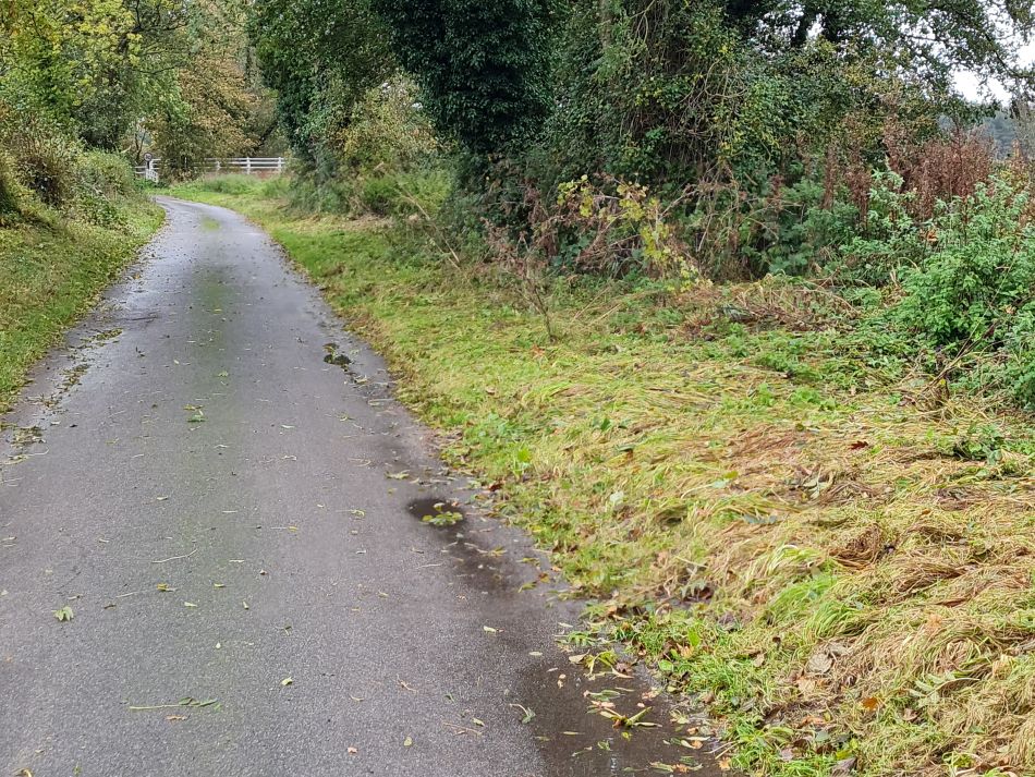 2023-11-08 05 Ditchingham and Broome.jpg