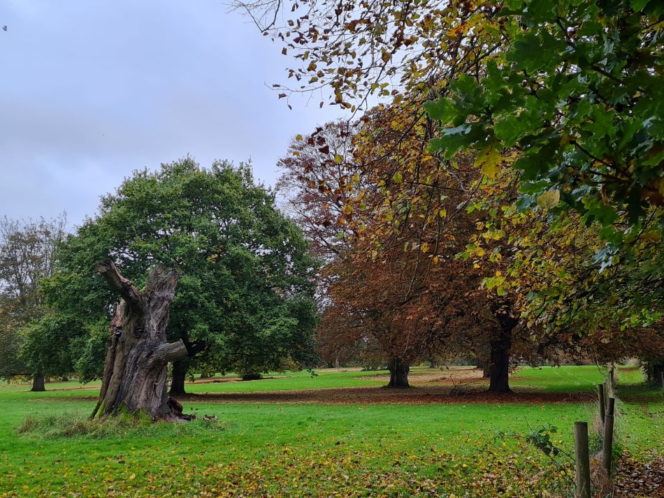 2023-11-08 07 Ditchingham and Broome.jpg