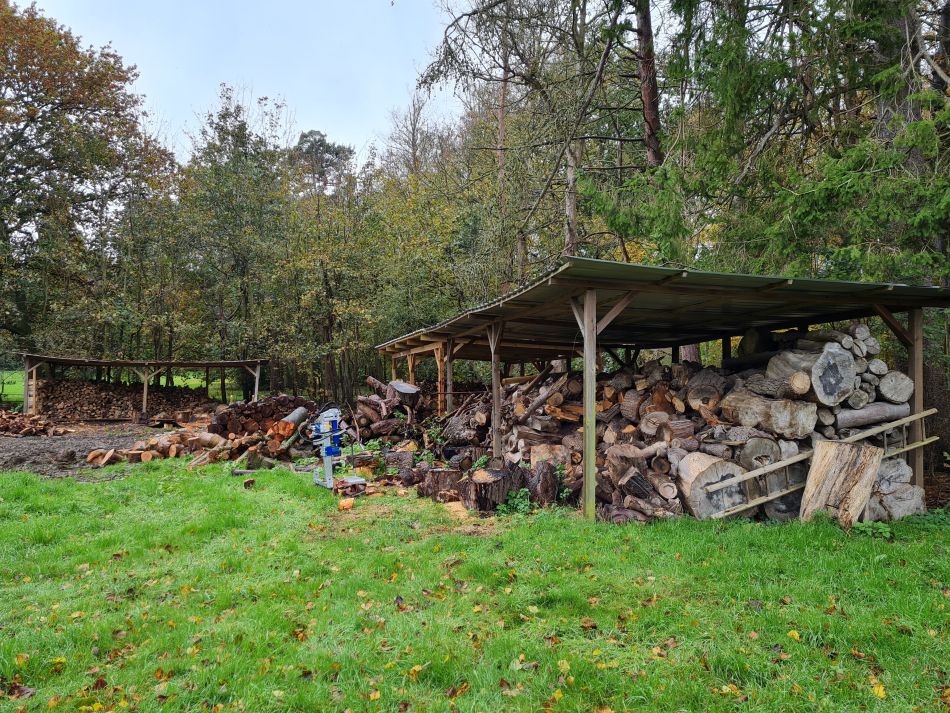 2023-11-08 08 Ditchingham and Broome.jpg