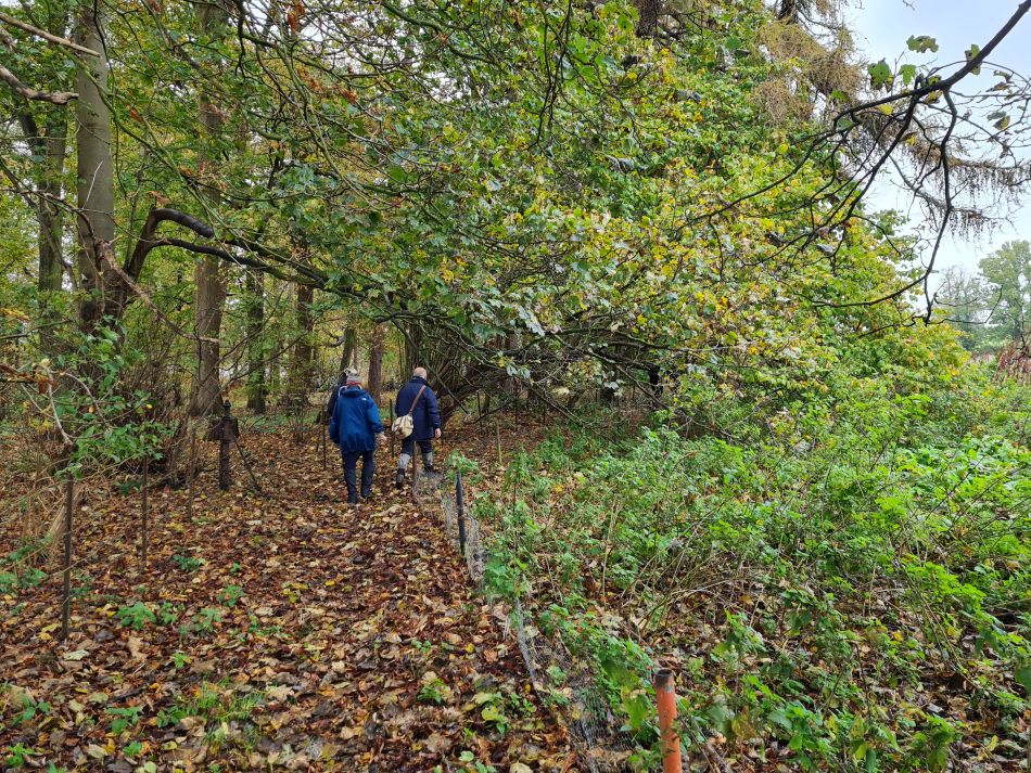 2023-11-08 09 Ditchingham and Broome.jpg