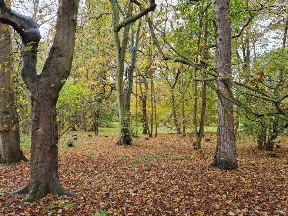 2023-11-08 10 Ditchingham and Broome.jpg