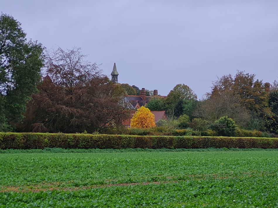 2023-11-08 17 Ditchingham and Broome.jpg