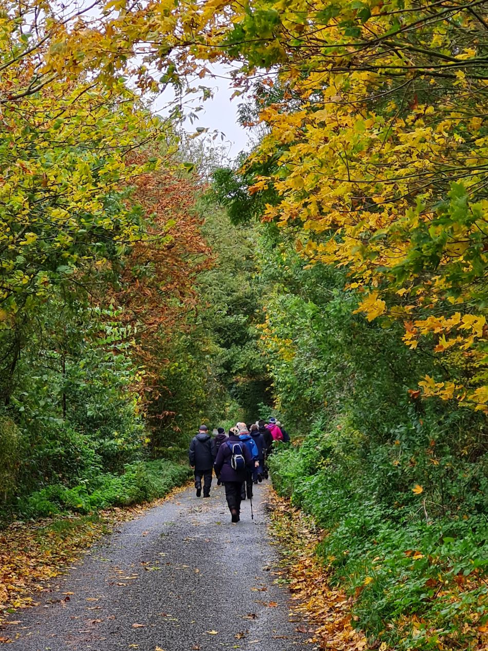 2023-11-08 18 Ditchingham and Broome.jpg