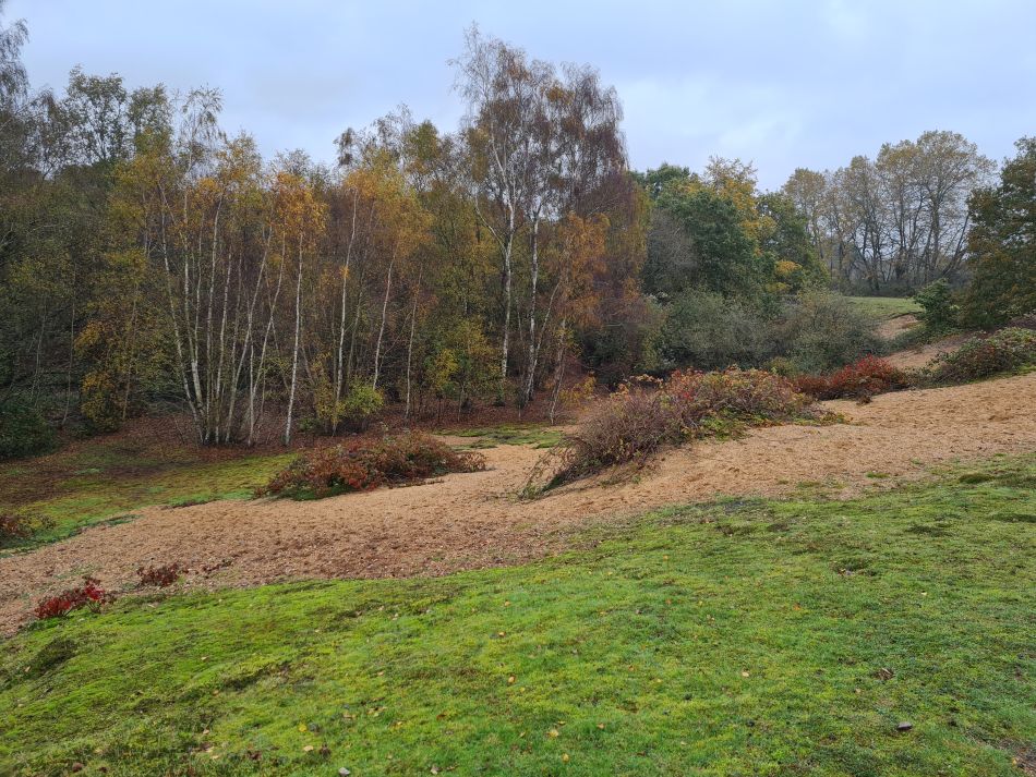 2023-11-08 23 Ditchingham and Broome.jpg