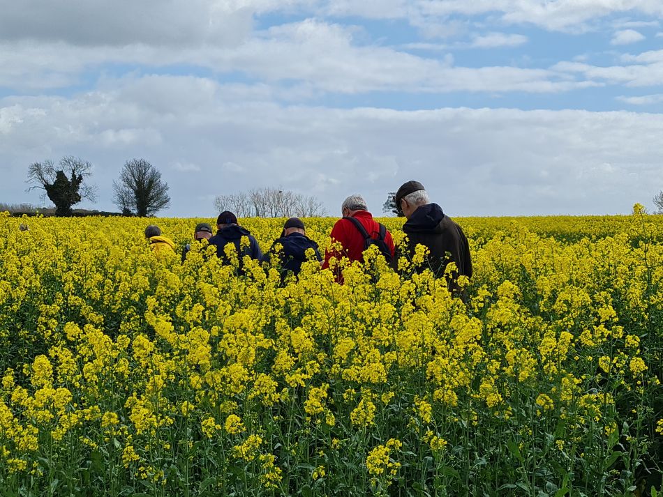 2024-04-05 04 Ditchingham.jpg