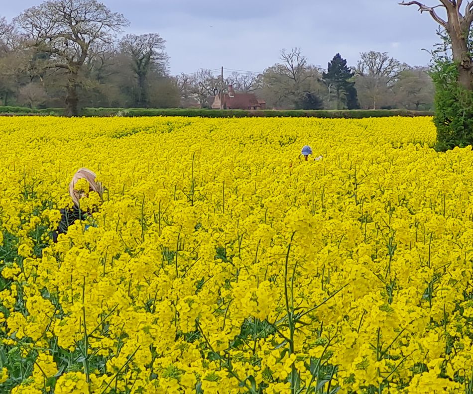 2024-04-05 05 Ditchingham.jpg