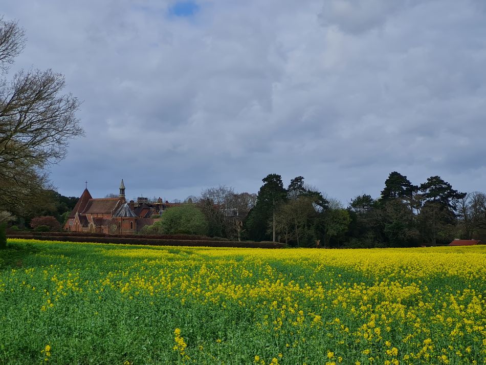 2024-04-05 06 Ditchingham.jpg