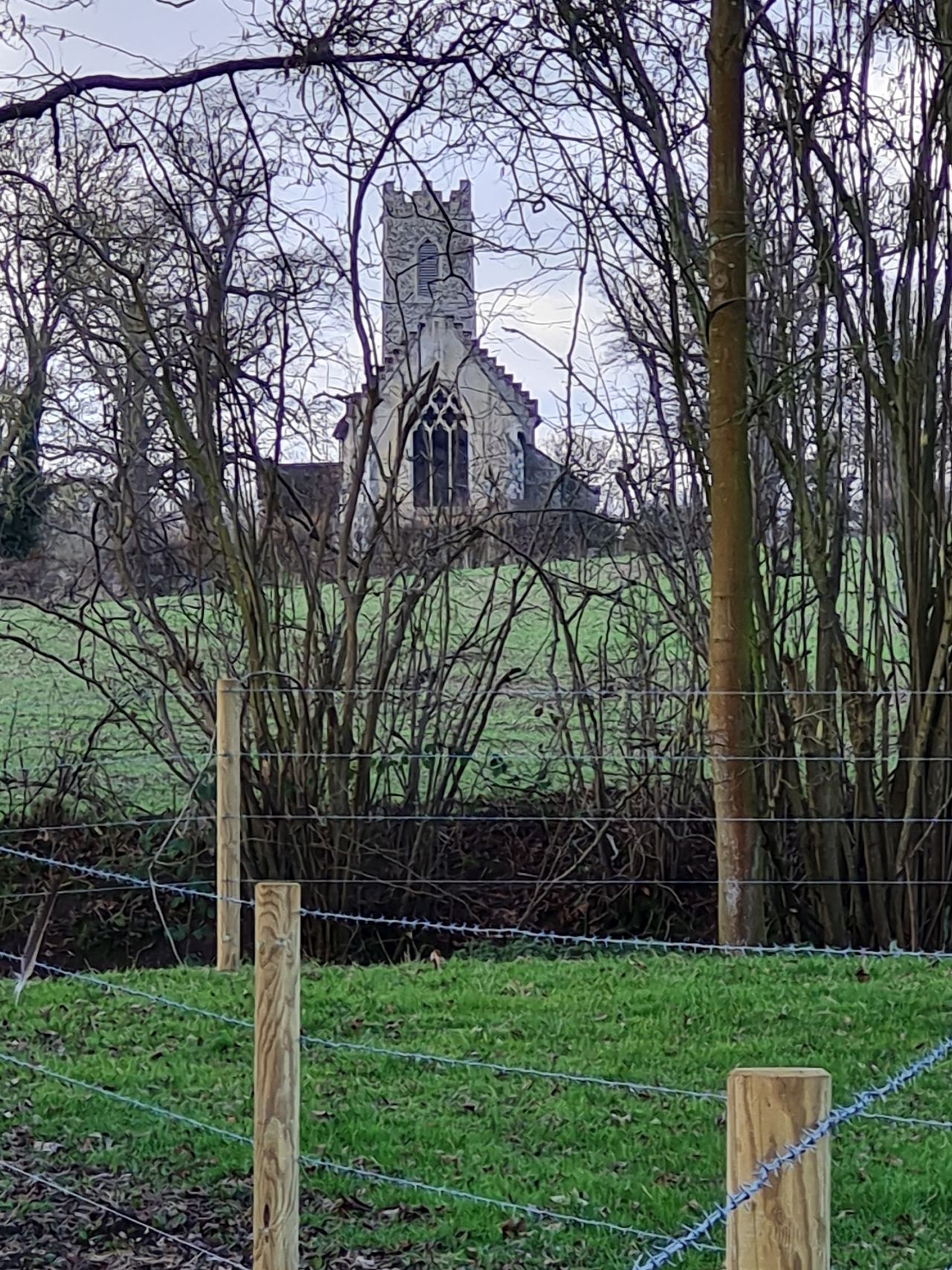 2025-02-28 05 Hedenham and Thwaite Saint Mary.jpg