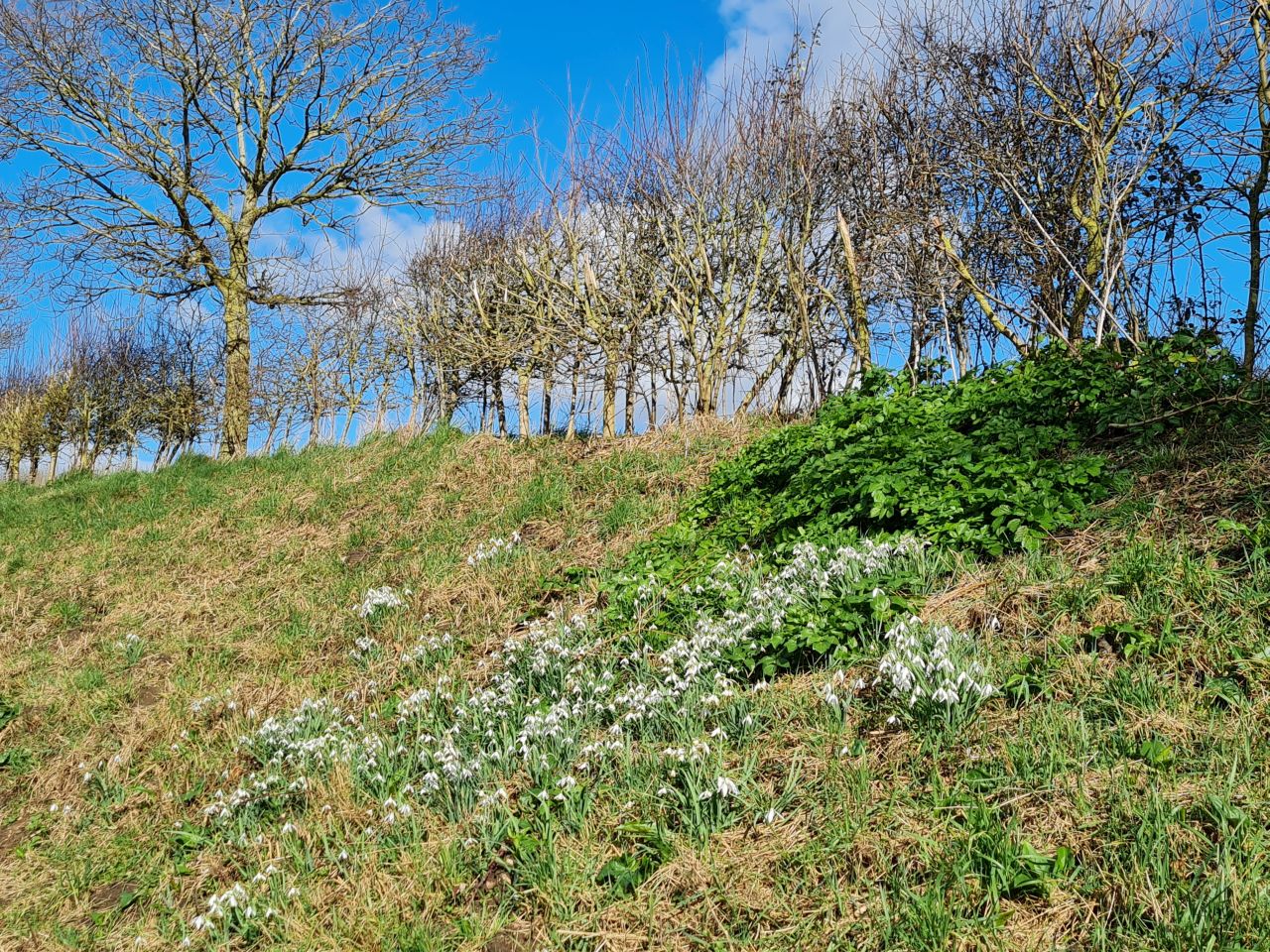 2025-02-28 17 Hedenham and Thwaite Saint Mary.jpg