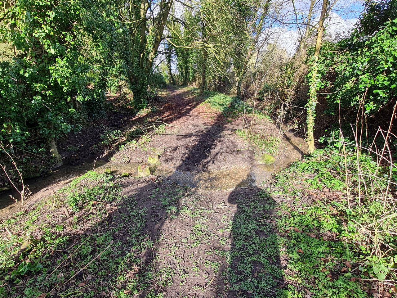2025-02-28 37 Hedenham and Thwaite Saint Mary.jpg