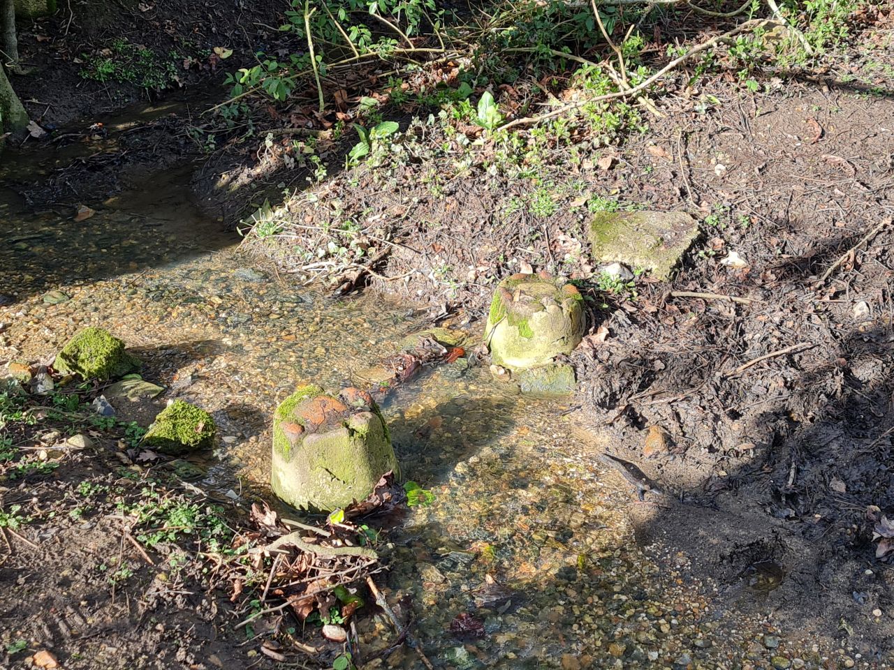 2025-02-28 38 Hedenham and Thwaite Saint Mary.jpg