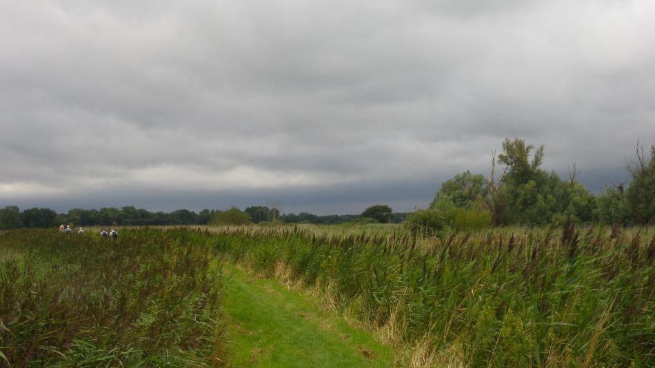 2017-08-17 04 Oulton Broad to Beccles.jpg