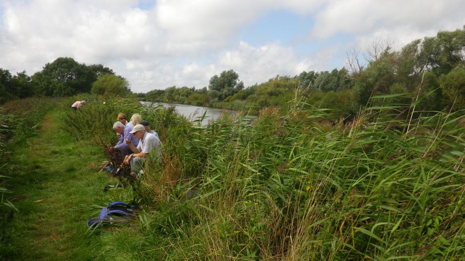 2017-08-17 05 Oulton Broad to Beccles.jpg
