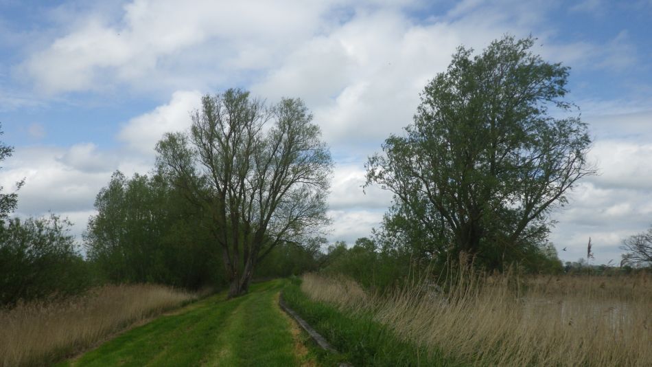 2019-05-09 08 Waveney Way 5.jpg