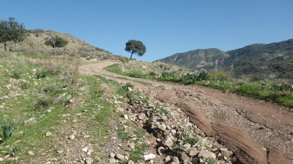 2018-01-29 18 Walk 3 Terrain.jpg