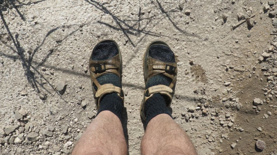 2018-01-29 23 Walk 3 All Clean.jpg