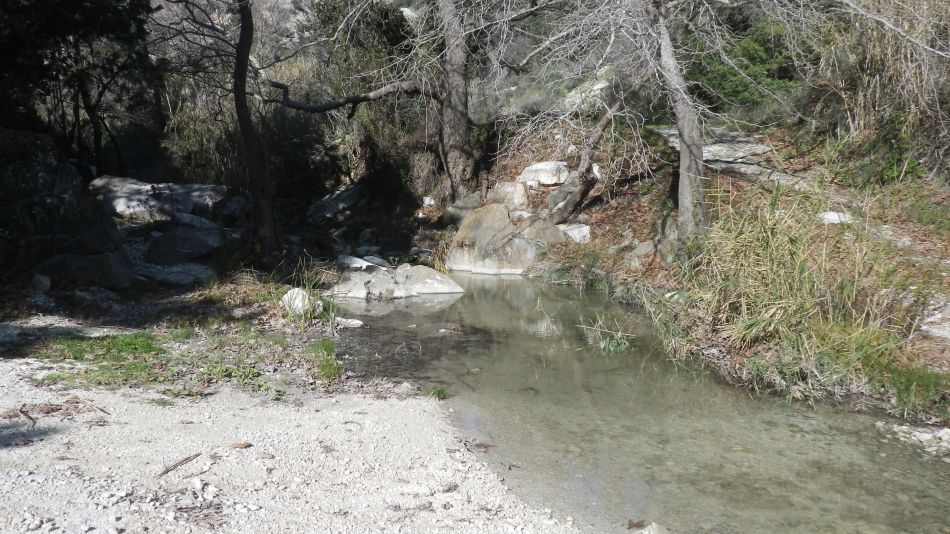 2018-01-29 27 Walk 3 Near Adonis Falls.jpg