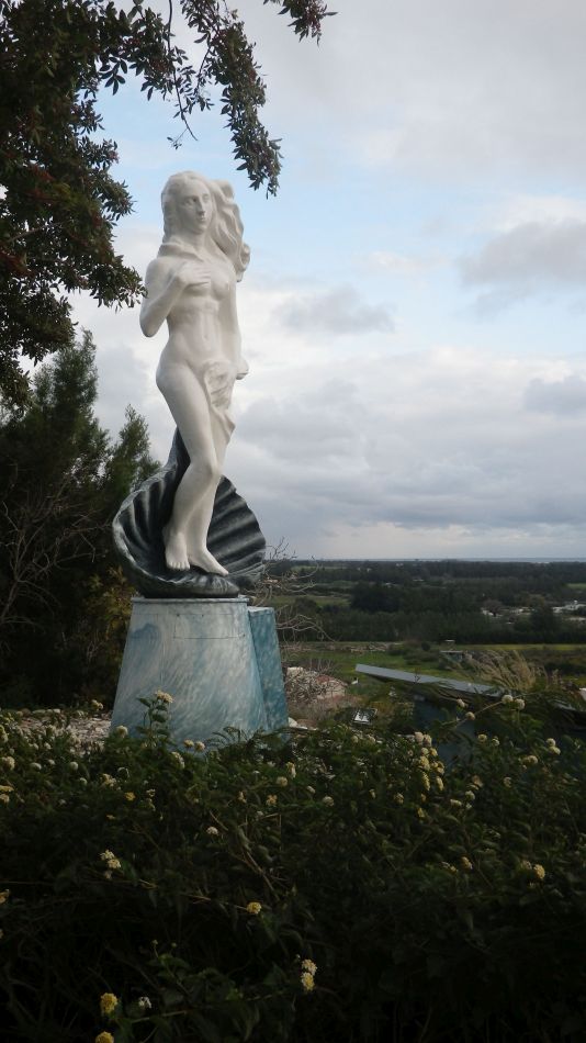 2019-01-16 06 Walk 4 Aphrodite.jpg