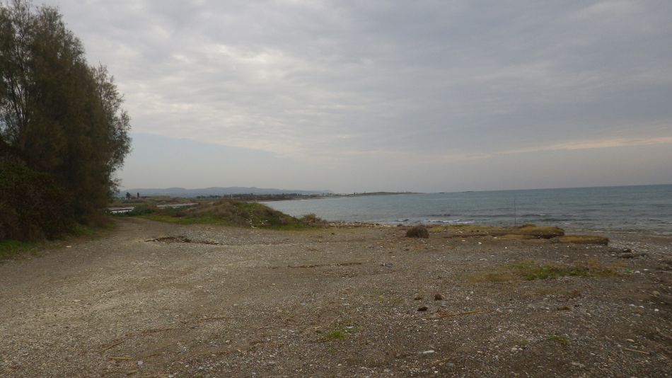 2019-01-22 01 Walk 1 South of the Airport.JPG