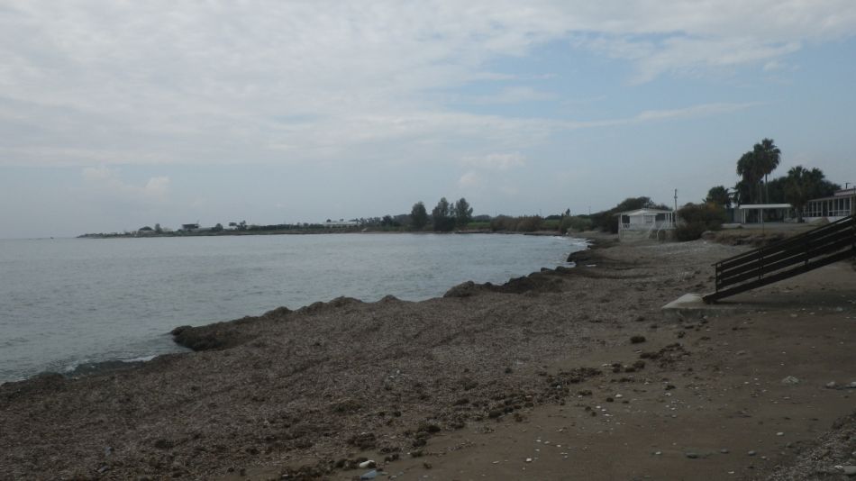 2019-01-22 02 Walk 1 South of the Airport.JPG