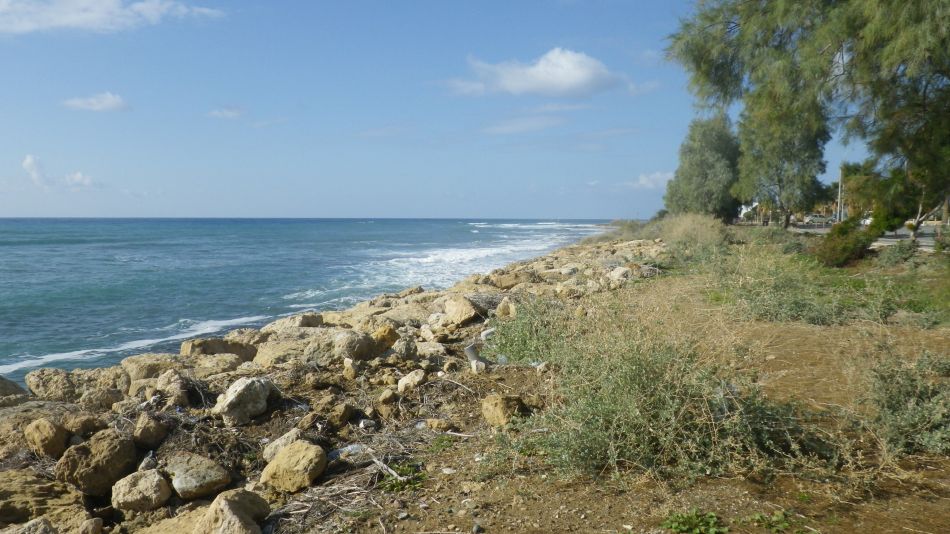 2019-01-22 10 Walk 1 Sea View.jpg