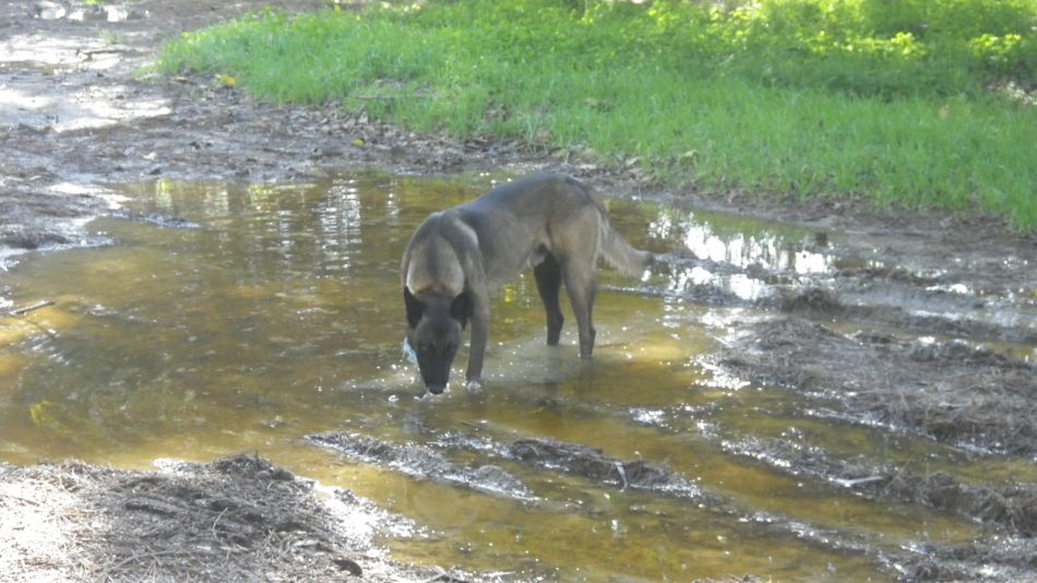 2019-01-22 16 Walk 1 Airport Walk.jpg