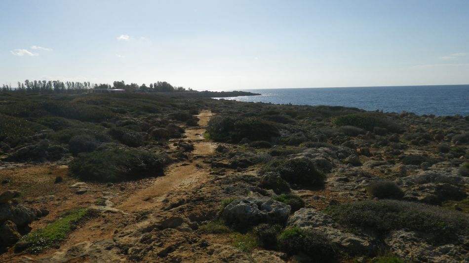 2019-01-23 01 Walk 17 Coral Bay.JPG