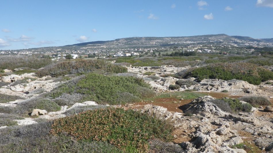 2019-01-23 03 Walk 17 Coral Bay.JPG