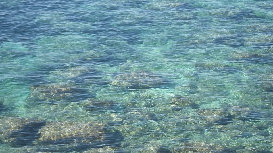 2019-01-23 23 Walk 17 Wine Dark Sea.JPG