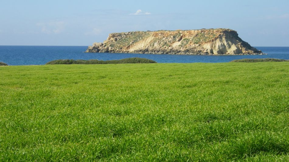 2019-01-23 28 Walk 17 Sea View.JPG