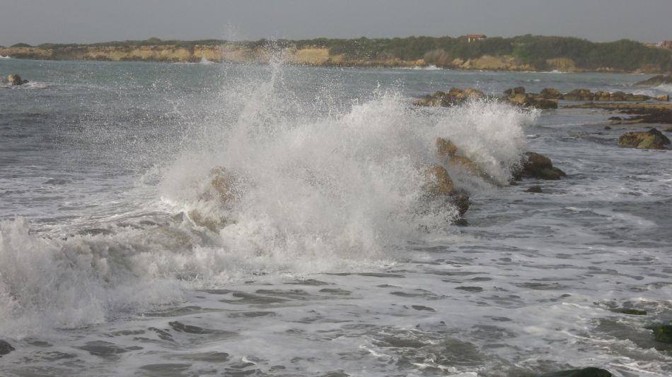 2019-01-25 02 Walk 14 Coral Bay.JPG