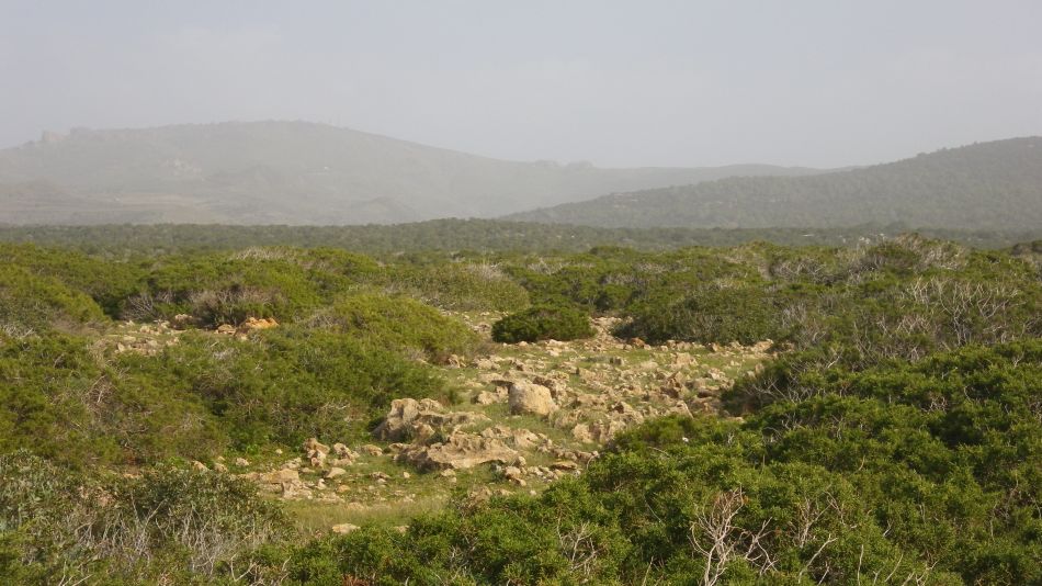 2019-01-25 19 Walk 14 Hazy Weather.JPG