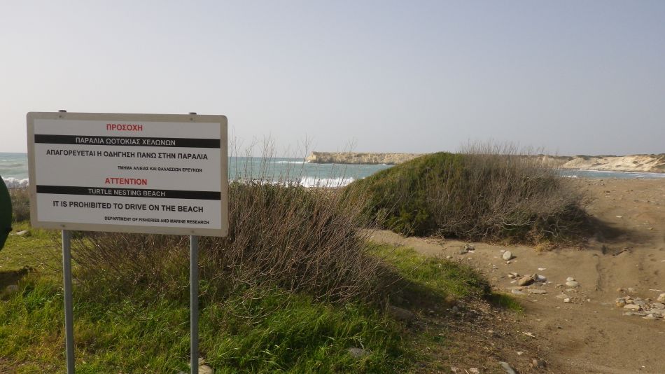 2019-01-25 22 Walk 14 Turtle Nests.JPG