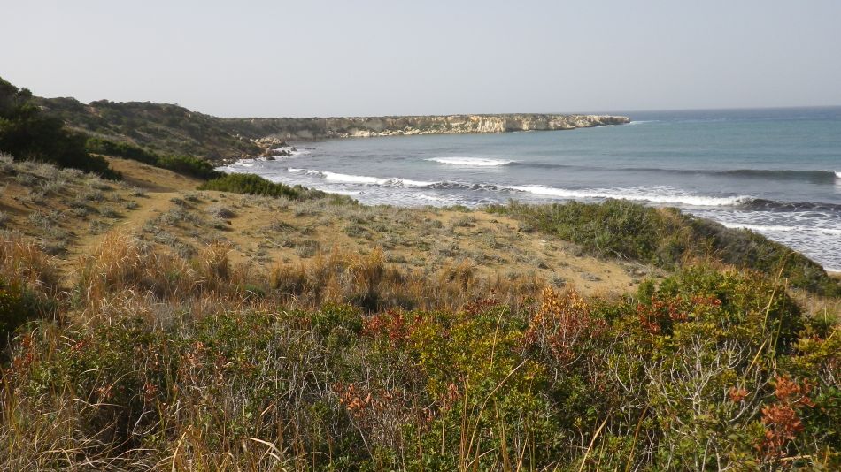 2019-01-25 24 Walk 14 Lara Bay Turtle Reserve.JPG