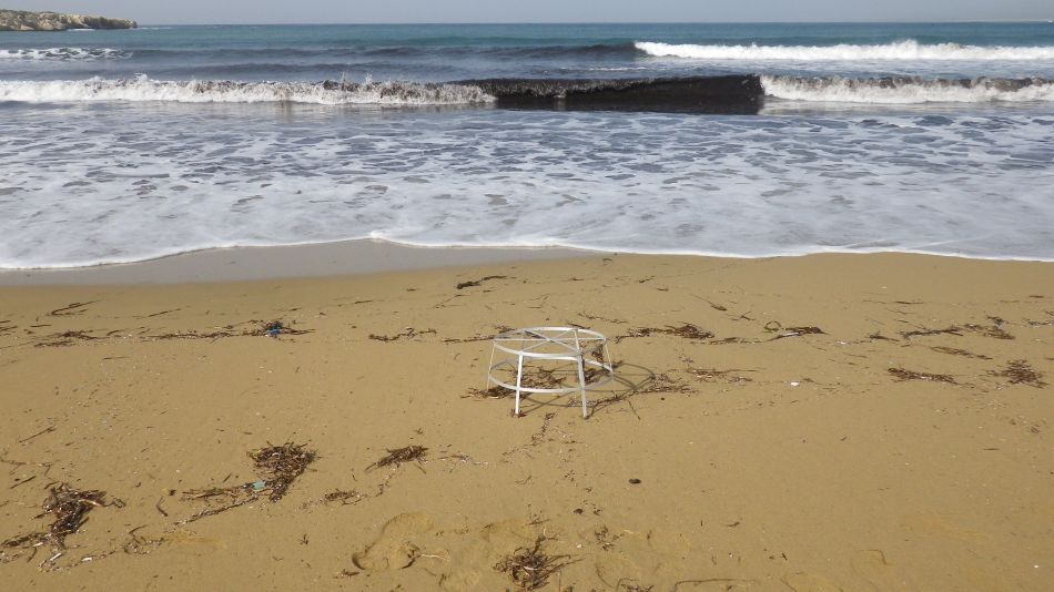 2019-01-25 26 Walk 14 Turtle Nest Protection.JPG