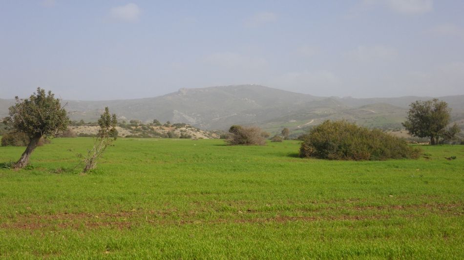 2019-01-25 27 Walk 14 Hazy Views.JPG