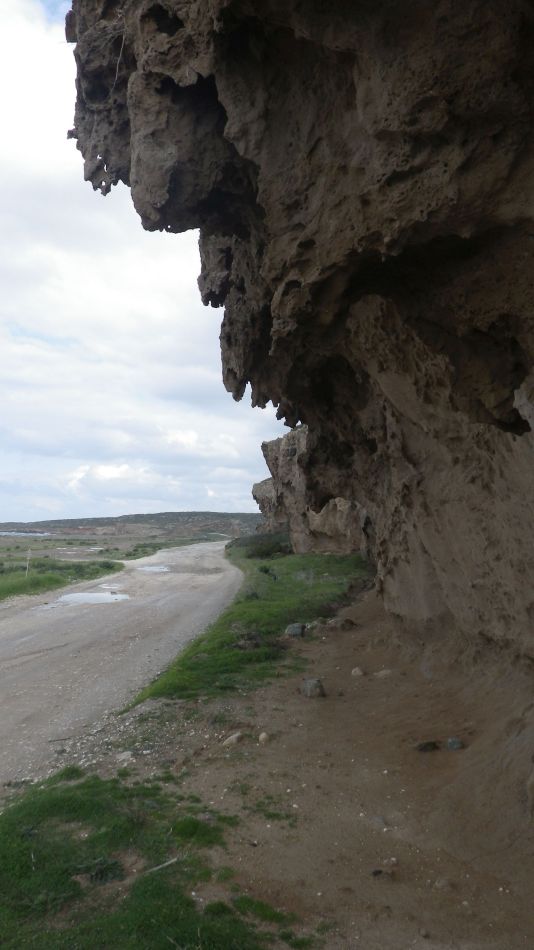 2019-01-25 34 Walk 14 Eroded Limestone.JPG