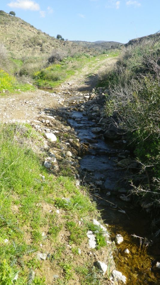 2019-02-03 05 Walk 16 Flowing Stream.JPG