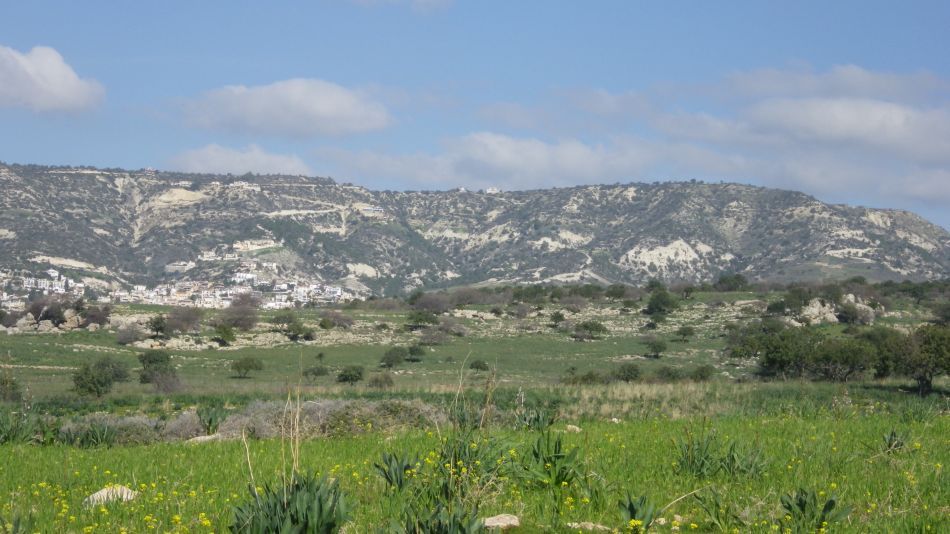 2019-02-03 06 Walk 16 Clear Weather.JPG