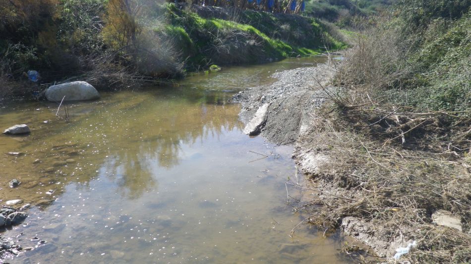 2019-02-03 09 Walk 16 This is a Road.JPG