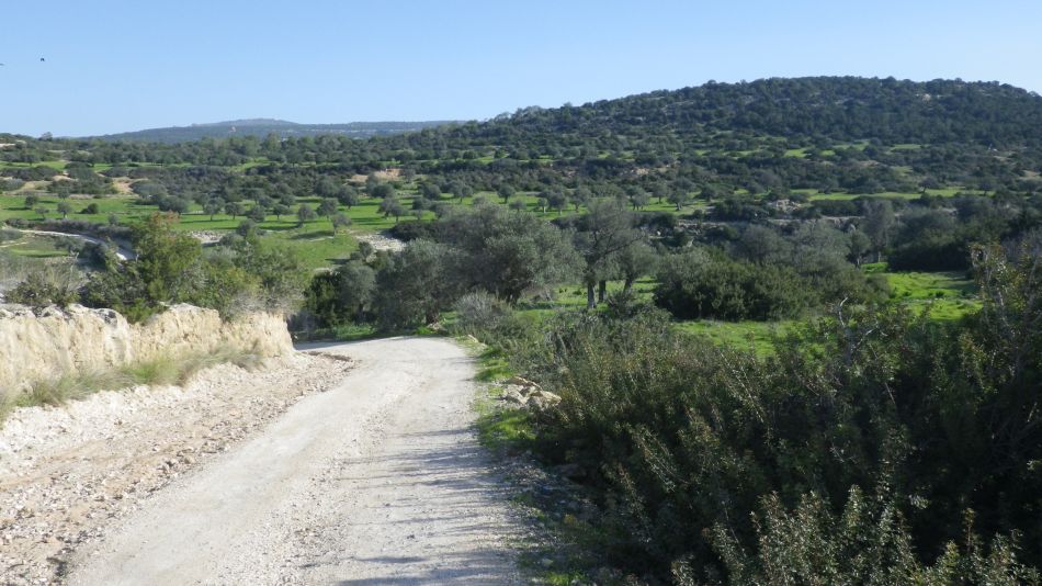 2019-02-05 05 Walk 8 Avakas Gorge Area.JPG