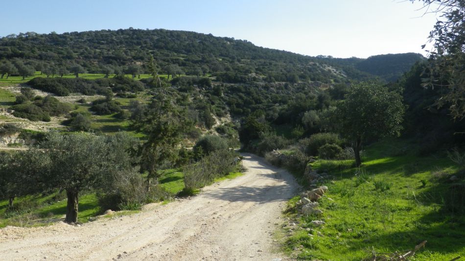 2019-02-05 06 Walk 8 Avakas Gorge Area.JPG