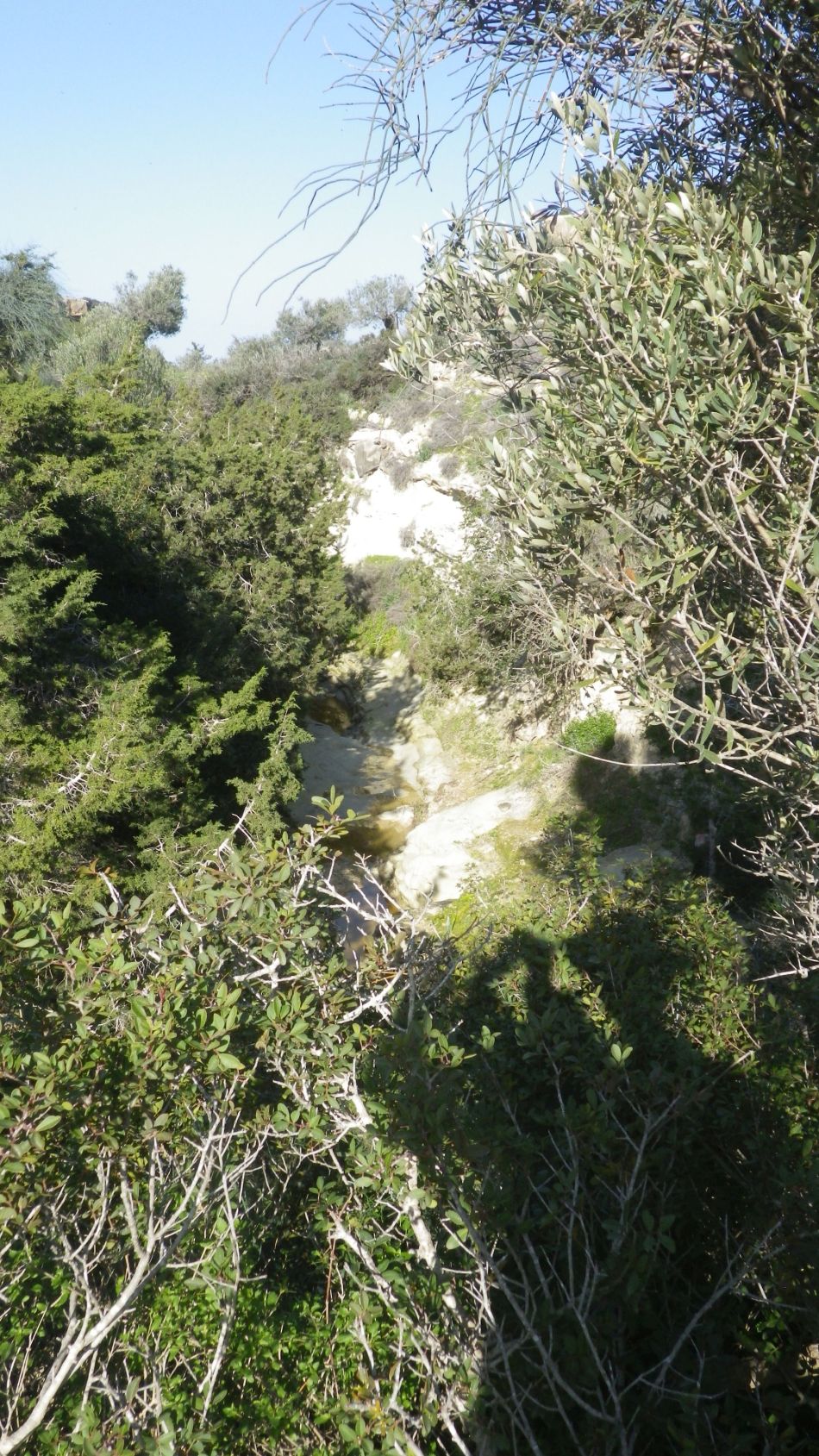 2019-02-05 07 Walk 8 Avakas Gorge Area.JPG