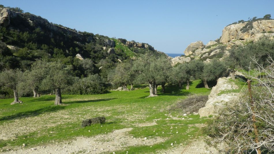 2019-02-05 08 Walk 8 Avakas Gorge Area.JPG