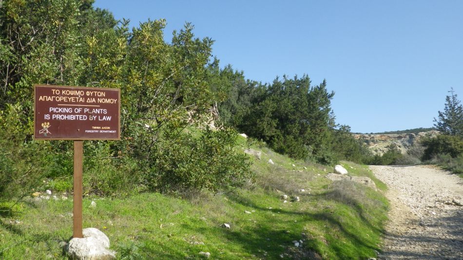 2019-02-05 14 Walk 8 Avakas Gorge Reserve.JPG