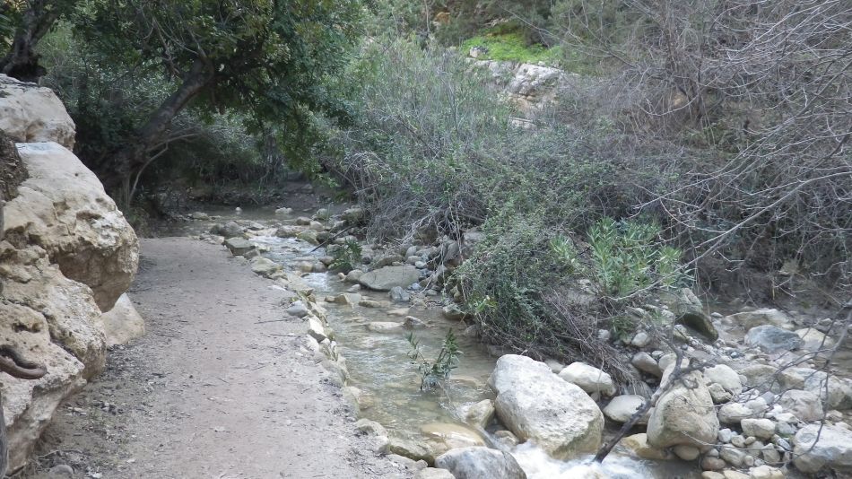 2019-02-05 37 Walk 8 Avakas Gorge.JPG