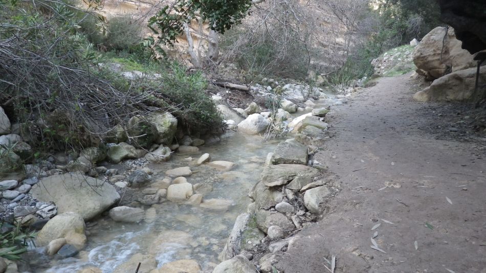 2019-02-05 38 Walk 8 Avakas Gorge.JPG