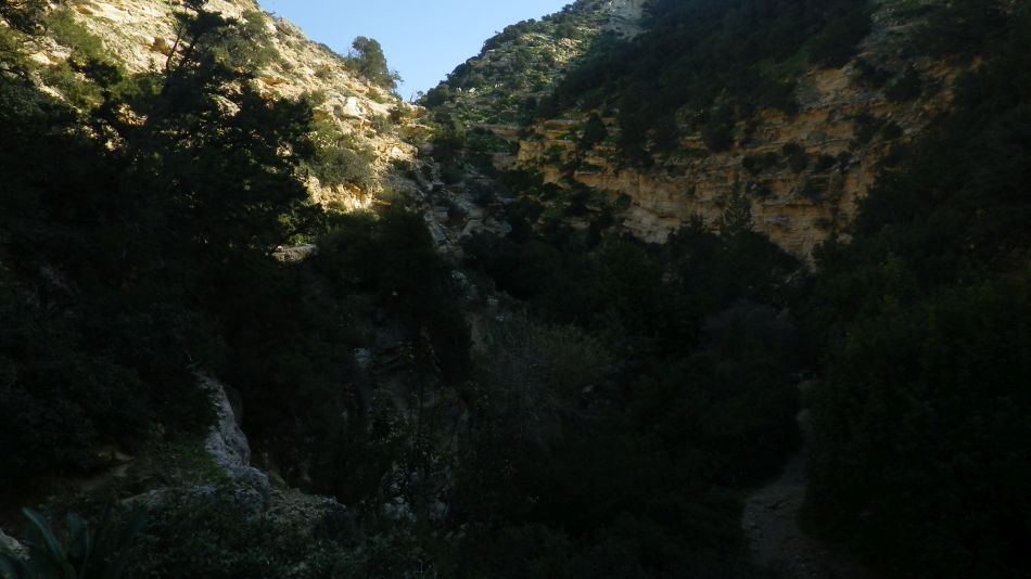 2019-02-05 39 Walk 8 Avakas Gorge.JPG