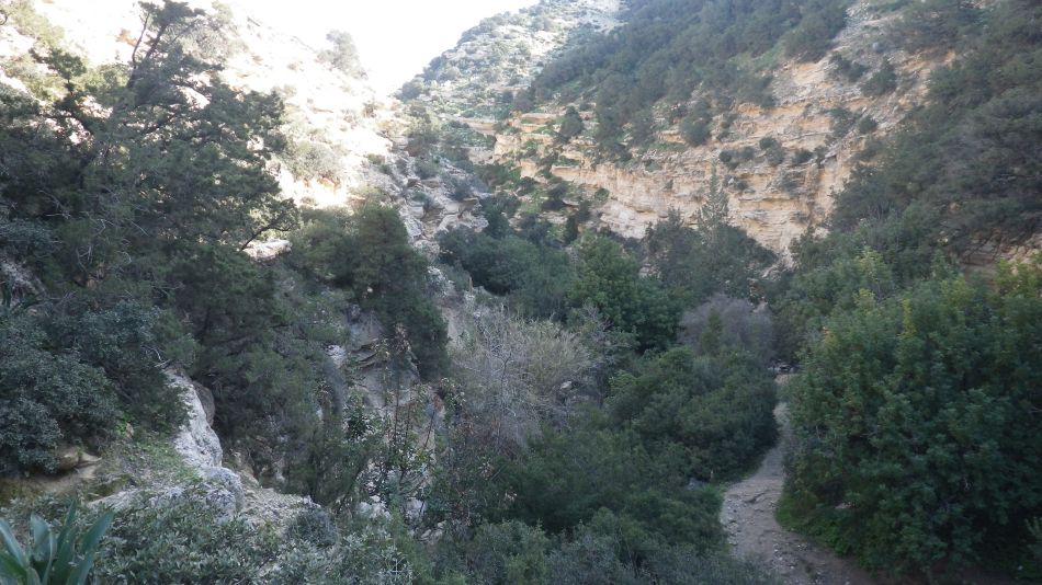 2019-02-05 40 Walk 8 Avakas Gorge.JPG